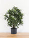 Podocarpus - Kunstig Grøn Plante