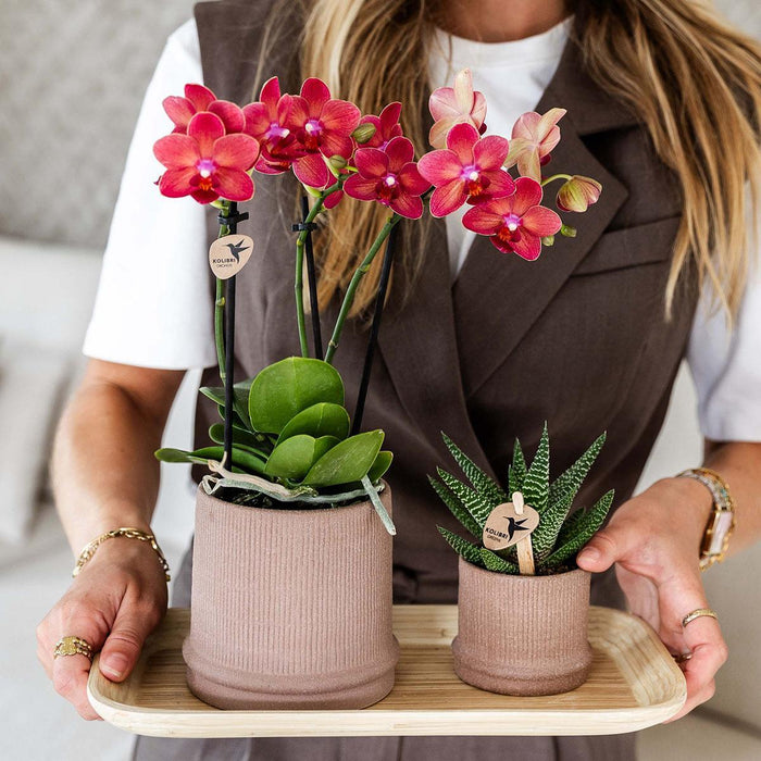 Bali Pot - Sand - Elegant Eklekticisme