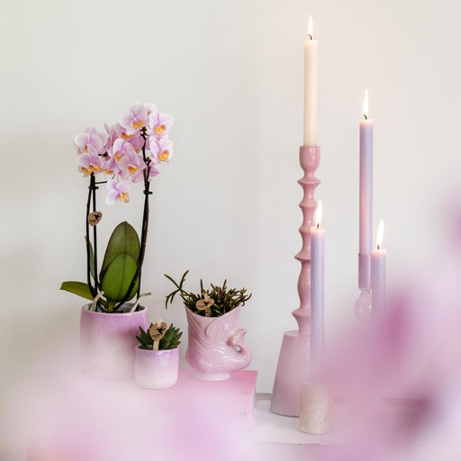 Fisk Keramisk Pot - Pink