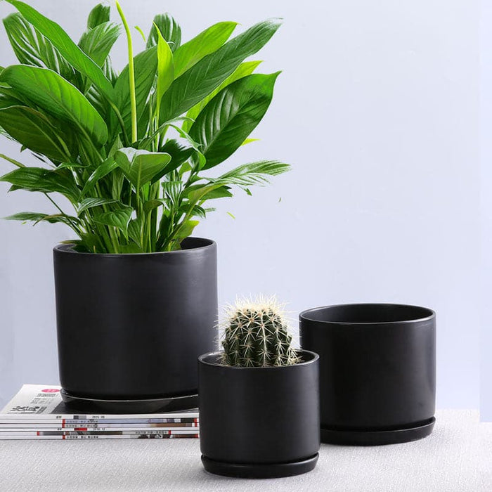 Urtepotte På Stativ Matsort Plantepotte