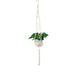 Hængende Urtepotte Hvid Macramé Suspension