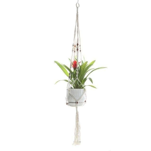 Hængende Urtepotte Suspension Macramé Plant