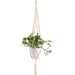 Hængende Urtepotte Suspension Macramé Tornado