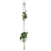 Hængende Urtepotte Macramé Suspension