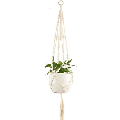Hængende Blomsterpotte Suspension Plant Design