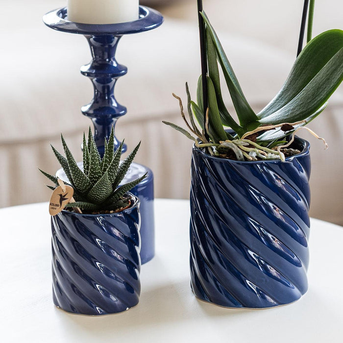 Dekorativ Slikkrukke Vibrant Blue