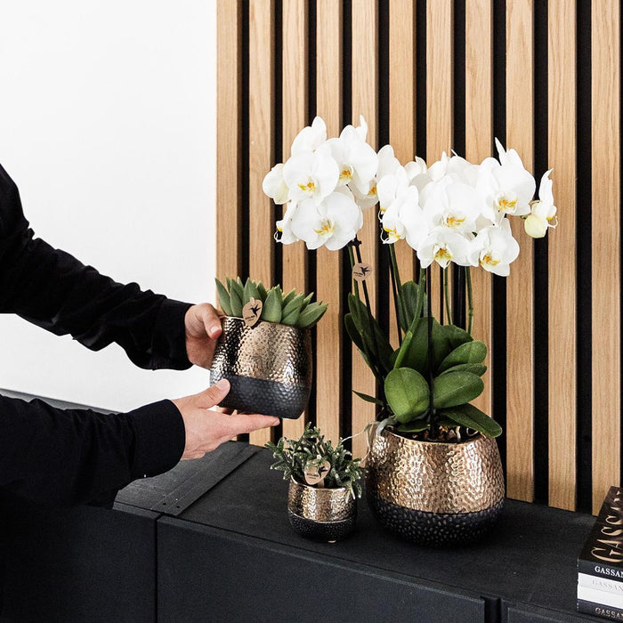 Elite Kobber Citrus Dekorativ Pot