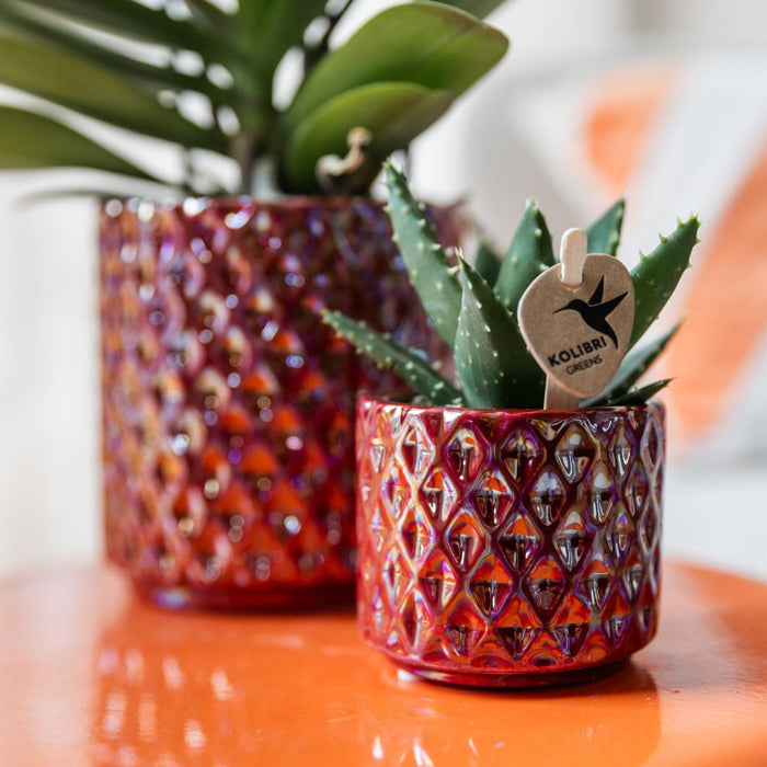 Pot Diamond Pearl Rød