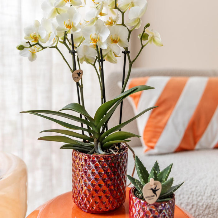 Pot Diamond Pearl Rød