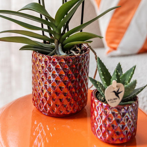 Pot Diamond Pearl Rød