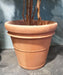 Benocci Terracotta Pot Ø.70 Cm Frostbestandig