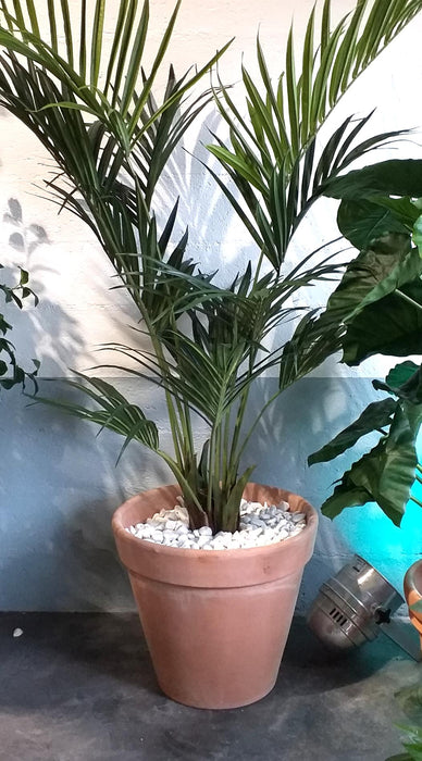 Graffiato Terracotta Pot Ø41 Cm Italiensk Fremstillet