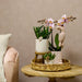 Pink Leaf Pot Til Orkideer Og Grønne Planter