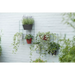 Wall Duo Plastic Wall Pot (X10)