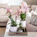 Raffineret Hvid Pastel Pot