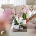 Raffineret Hvid Pastel Pot