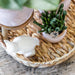 Blød Lyserød Pastel Pot