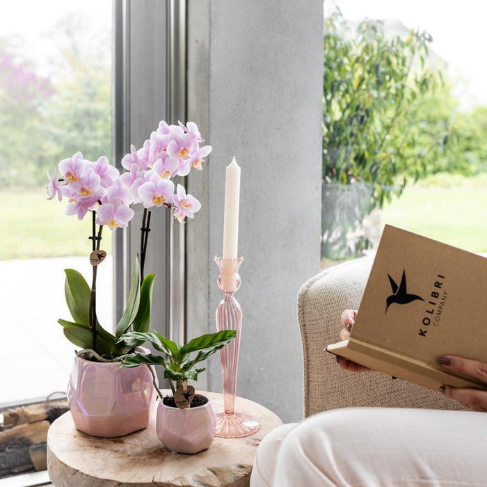 Pearl Pot - Pink - Indre Udstråling