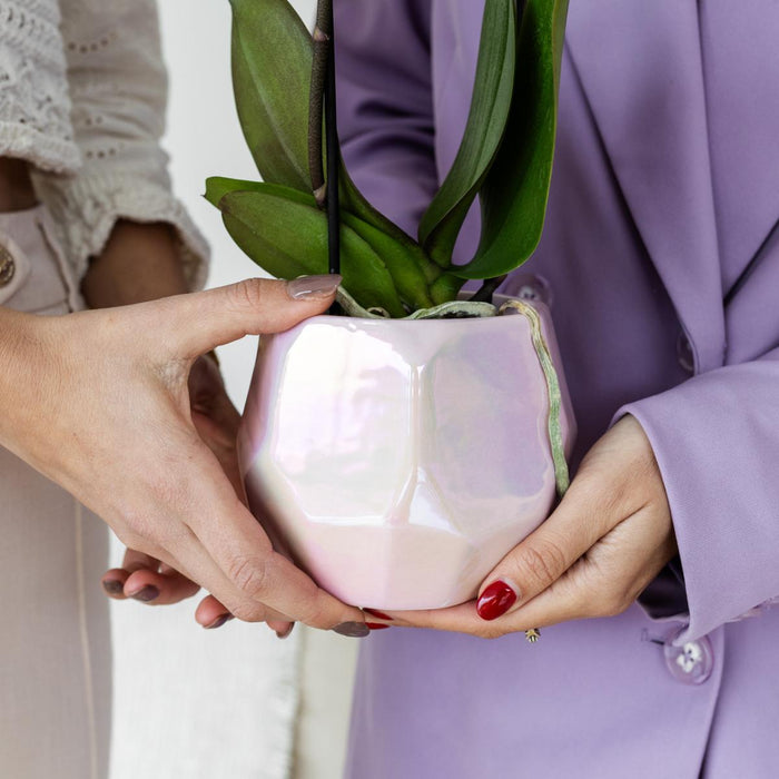 Pearl Pot - Pink - Indre Udstråling