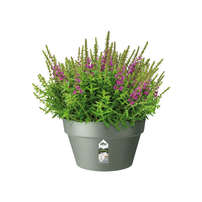 Loft Urban Indoor Plastic Plant Pot (X5)