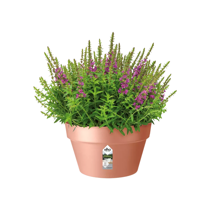 Loft Urban Indoor Plastic Plant Pot (X5)