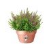 Loft Urban Indoor Plastic Plant Pot (X5)