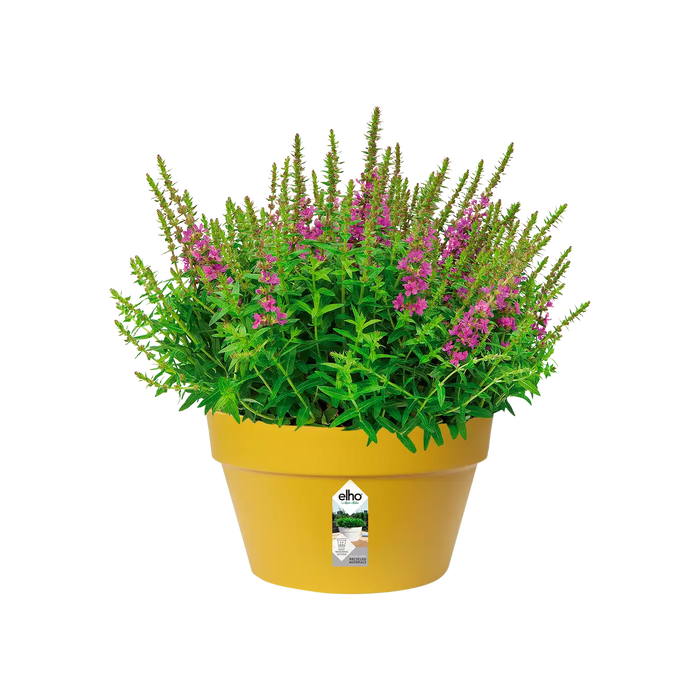 Loft Urban Indoor Plastic Plant Pot (X5)