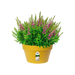 Loft Urban Indoor Plastic Plant Pot (X5)
