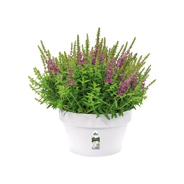 Loft Urban Indoor Plastic Plant Pot (X5)