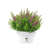 Loft Urban Indoor Plastic Plant Pot (X5)
