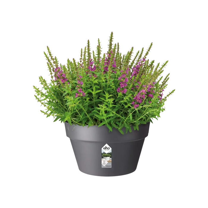 Loft Urban Indoor Plastic Plant Pot (X5)