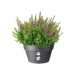 Loft Urban Indoor Plastic Plant Pot (X5)