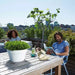 Loft Urban Indoor Plastic Plant Pot (X5)