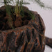 Rockgarden Gryde