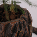 Rockgarden Gryde