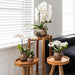 Safari Pot - Elegant Keramik Til Planter