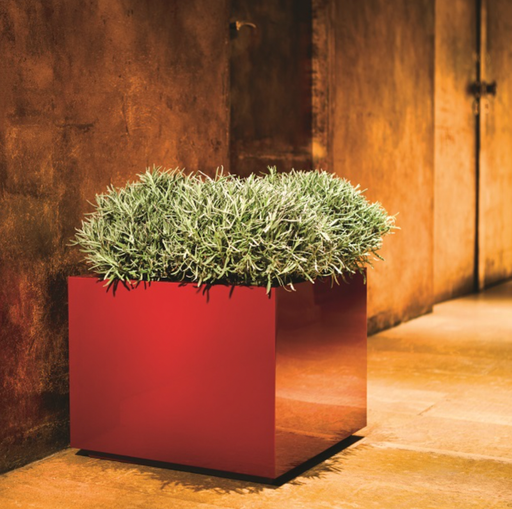 Steel Plus Square Pot
