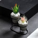 Dio Metal Piedestal Pot