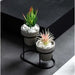 Dio Metal Piedestal Pot