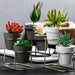Dio Metal Piedestal Pot