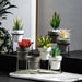 Dio Metal Piedestal Pot
