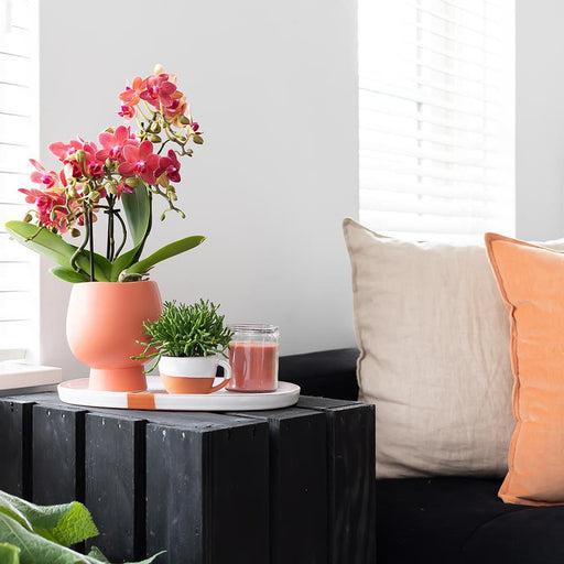 Scandic Terracotta Dekorationsgryde