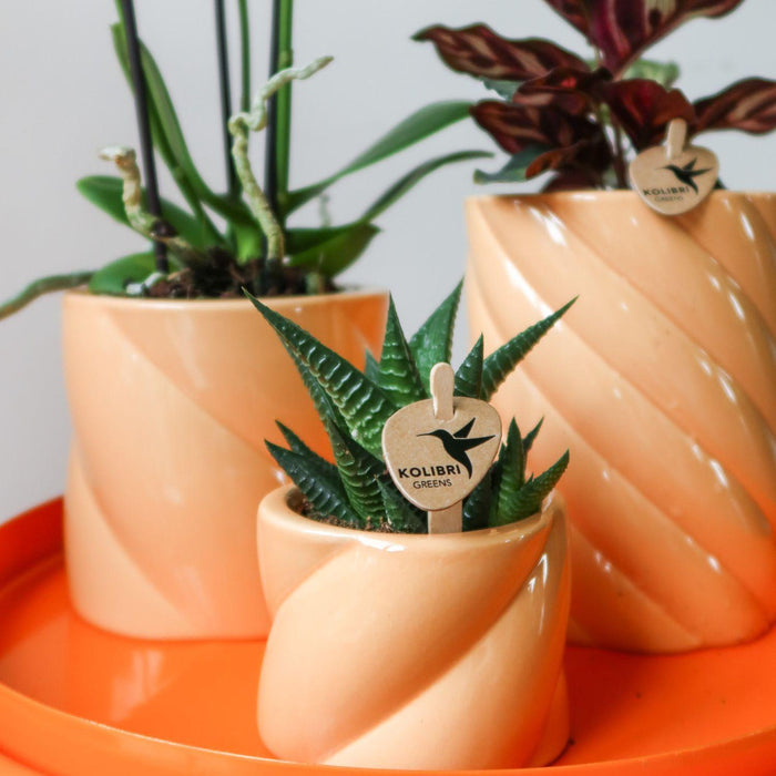 Candy Dekorative Pot - Fersken