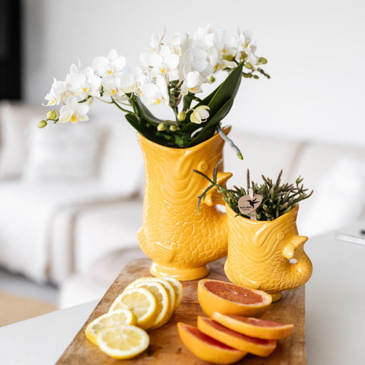 Orange Keramisk Fisk Dekorativ Pot