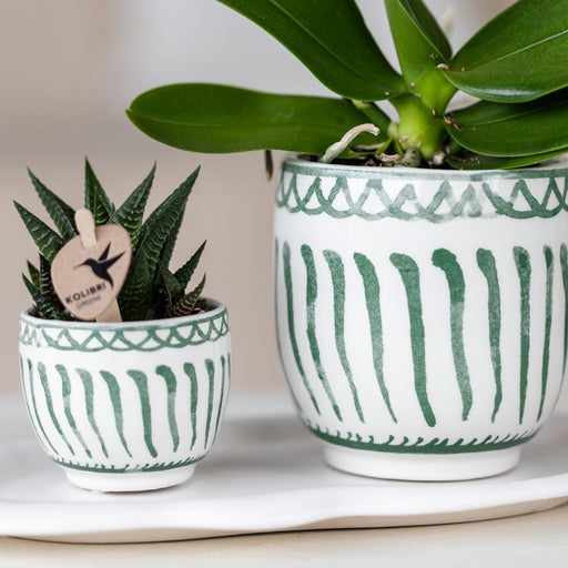 Granada Grøn Dekorativ Pot