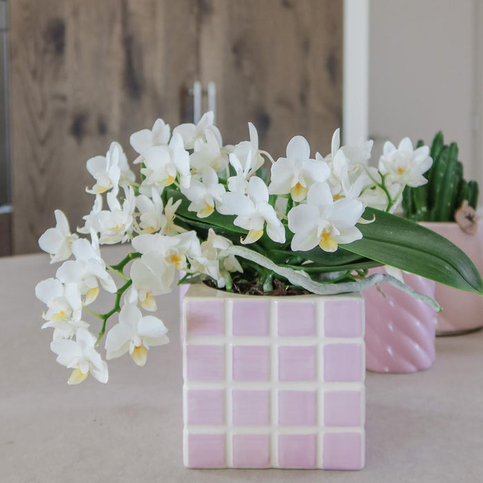 Mosa Pink Dekorativ Potte