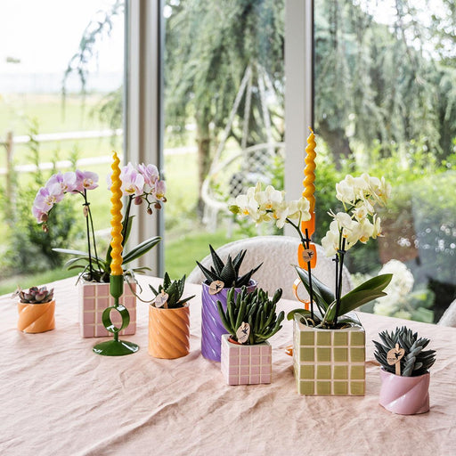 Mosa Pink Dekorativ Potte