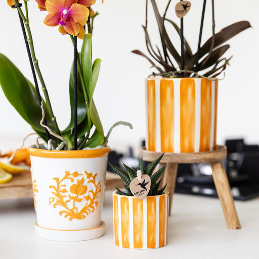 Malet Stripe Dekorativ Potte - Orange