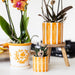 Malet Stripe Dekorativ Potte - Orange