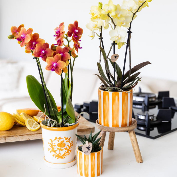 Malet Stripe Dekorativ Potte - Orange